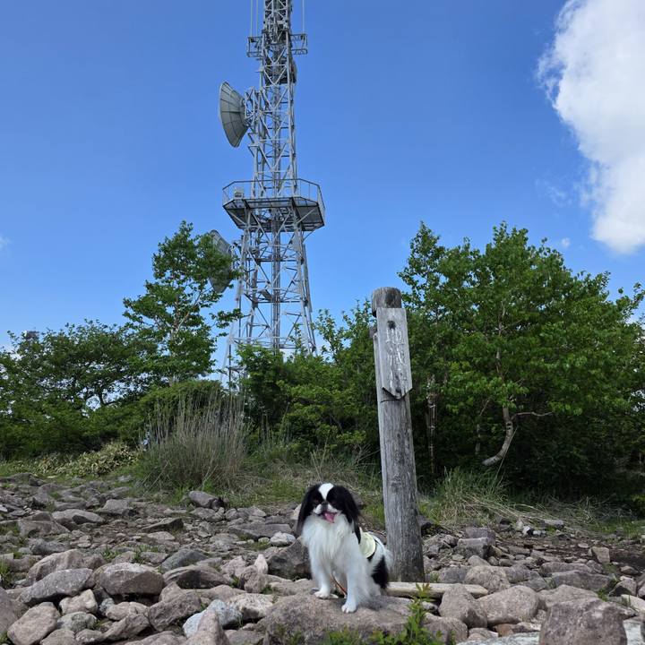 Aece4340 2f9a 48bd 9234 111e5a1c292e 1750213612559