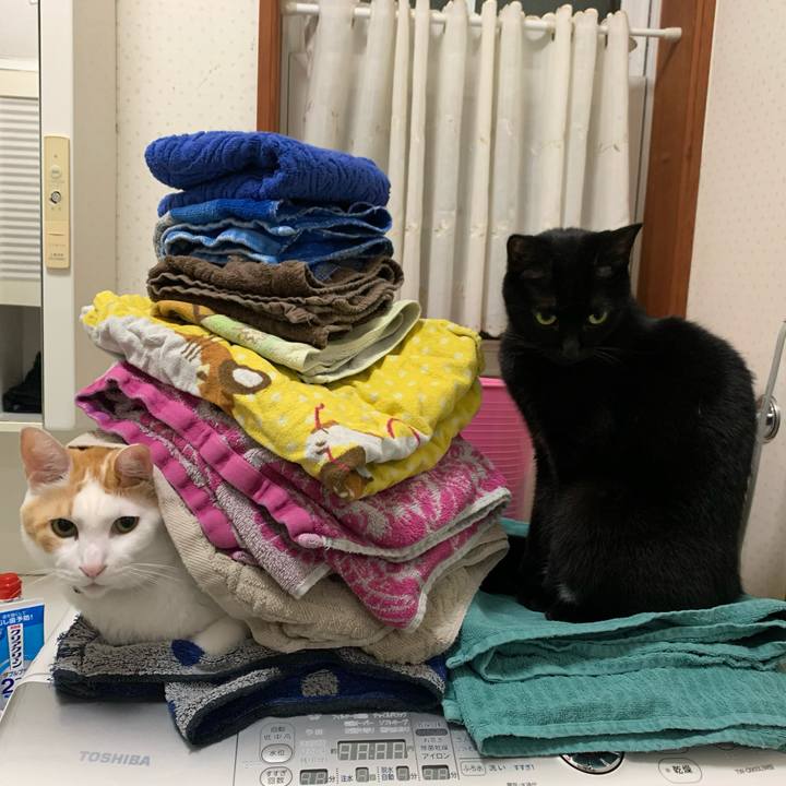 Aece697a de28 4fc2 87b4 53420bb0f14b 1576532672880