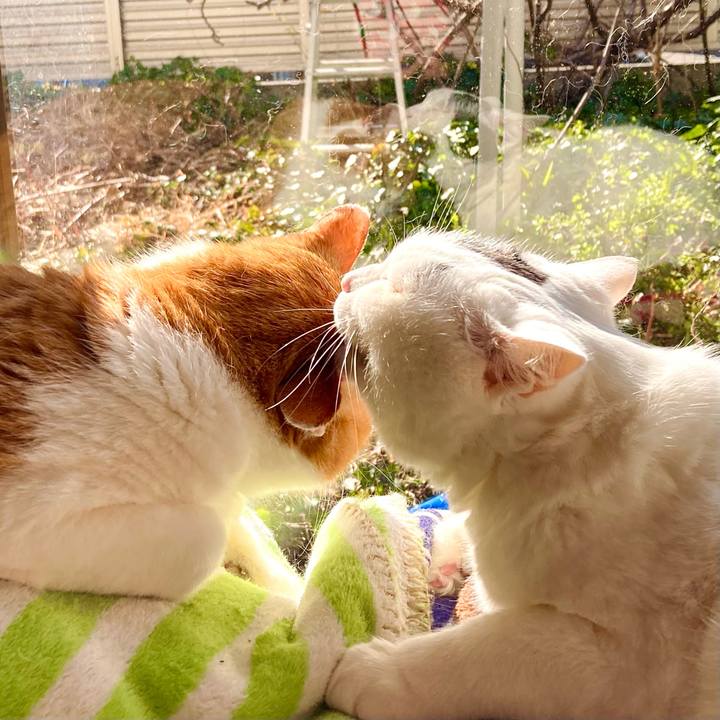 Aece8daf e6f5 44c3 859e d60d7d184d7e 1768560456064