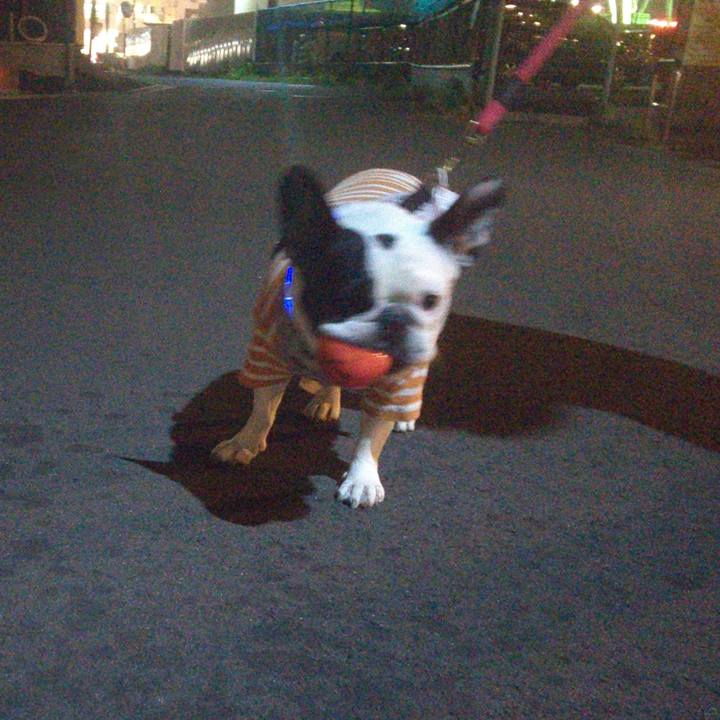 Aeceb217 8324 4e5e b9fe b37f3267546e 1618921249301