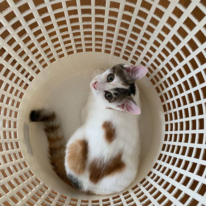 Aeceb531 c5e5 4ef1 9f41 181f623005ec 1597880689213