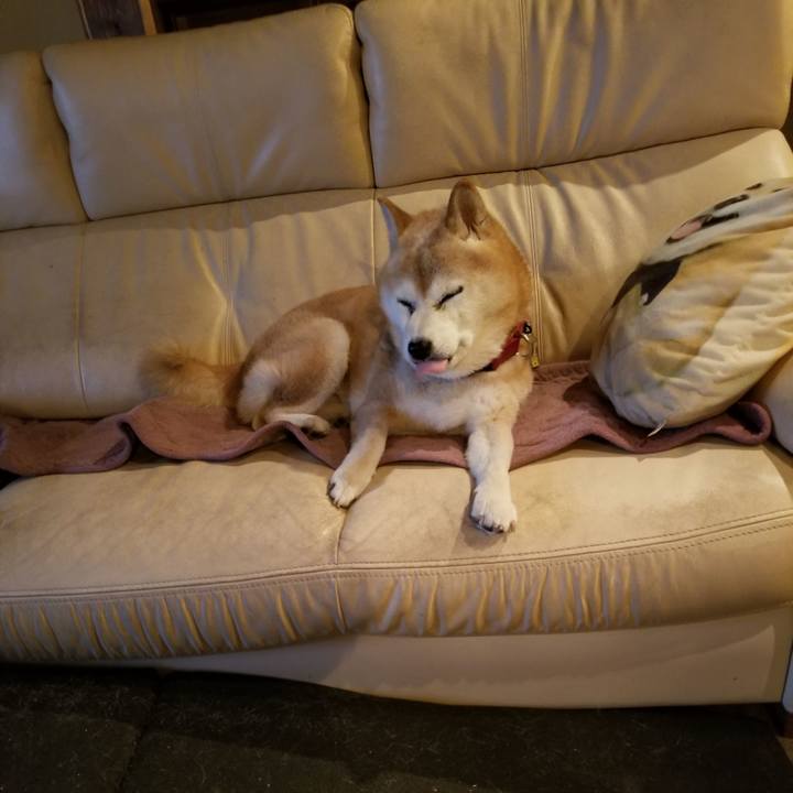 Aecebed0 ee5f 4053 a2e9 03ac0ffadb8b 1762769485532