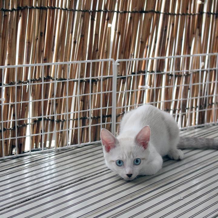 Aecec83b c21f 485c baa8 1778ac4c1335 1600295927004