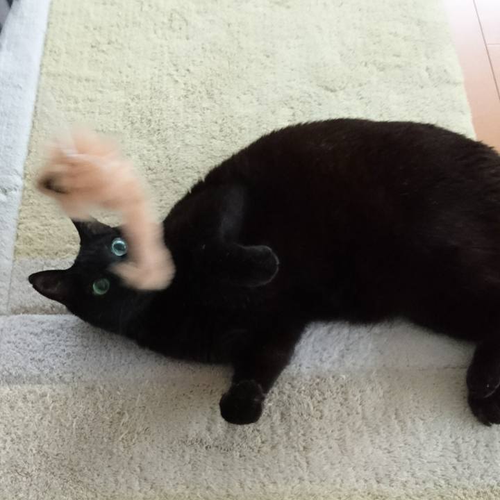 Aecf9a85 6a47 4f56 b991 a66f09a716c0 1515399452923