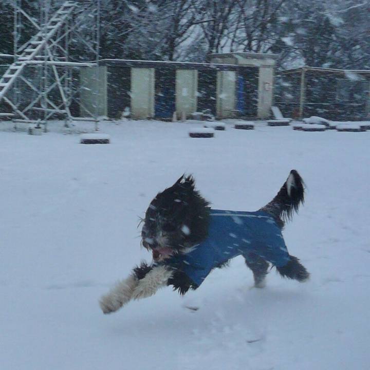 Aecfced1 ed59 420d 84ed 9595c4e677bb 1517094299523