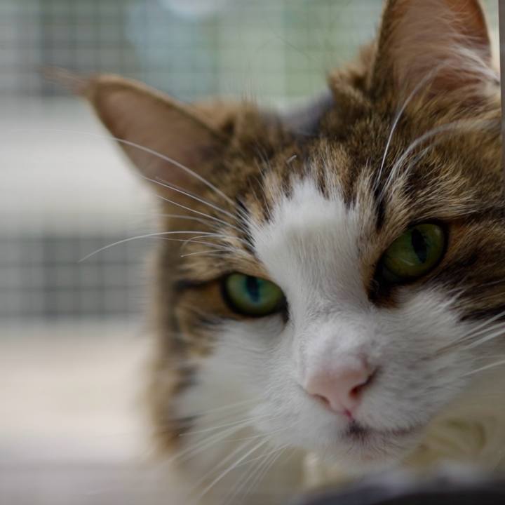 Aecff573 b4d7 4013 a125 18fb7f26de9d 1717471526240