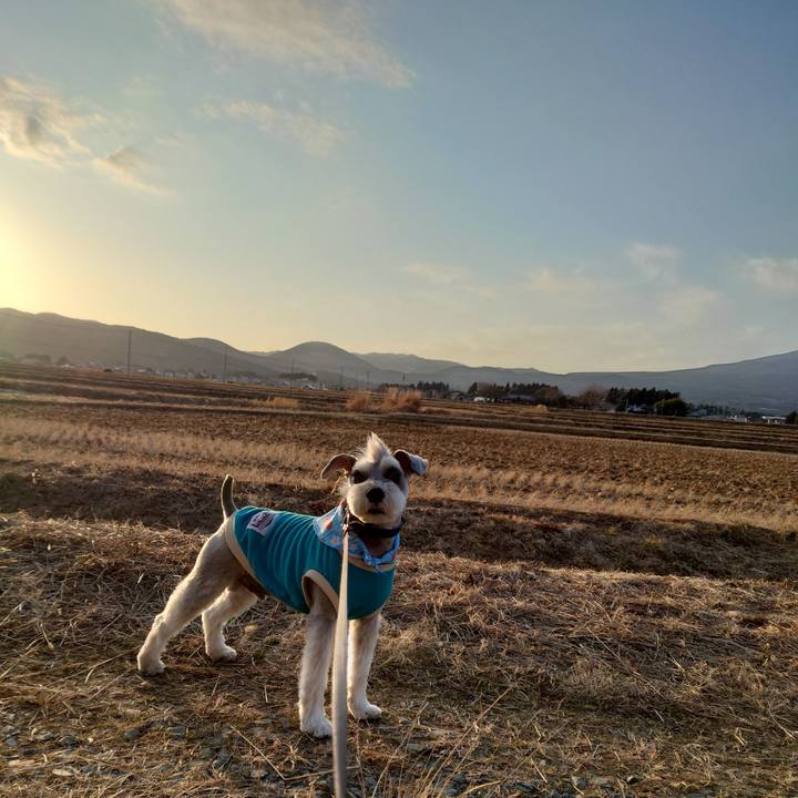 Aecff87e 4c84 4fd6 821c 4bc4830b9b07 1771319767502