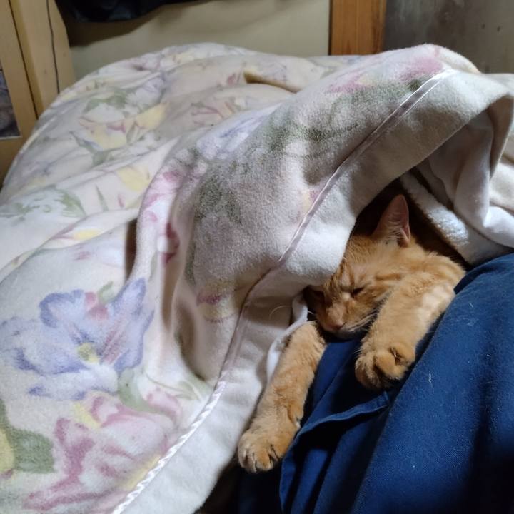 Aed0298b 94c2 4bb0 a247 97cc08b7882f 1697374589194