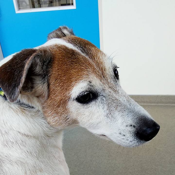 Aed02ba9 527a 437e 873f e6a2133c3ebe 1555988061435