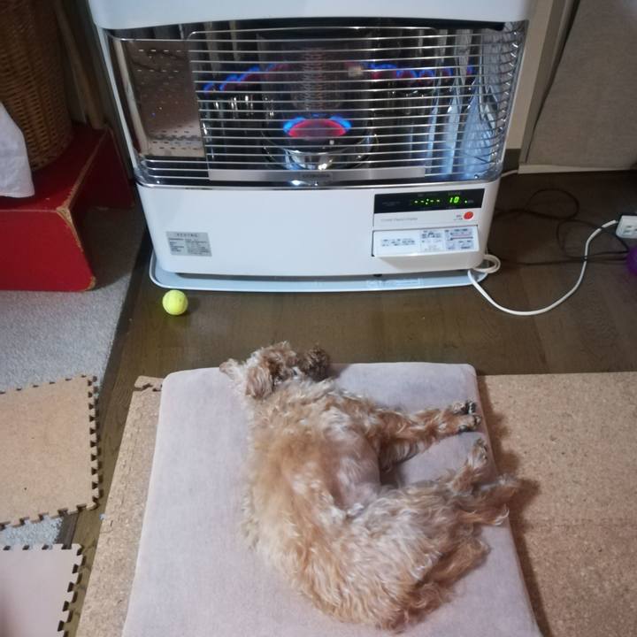 Aed055cc de6e 4e32 9359 78691771cd25 1572900857626