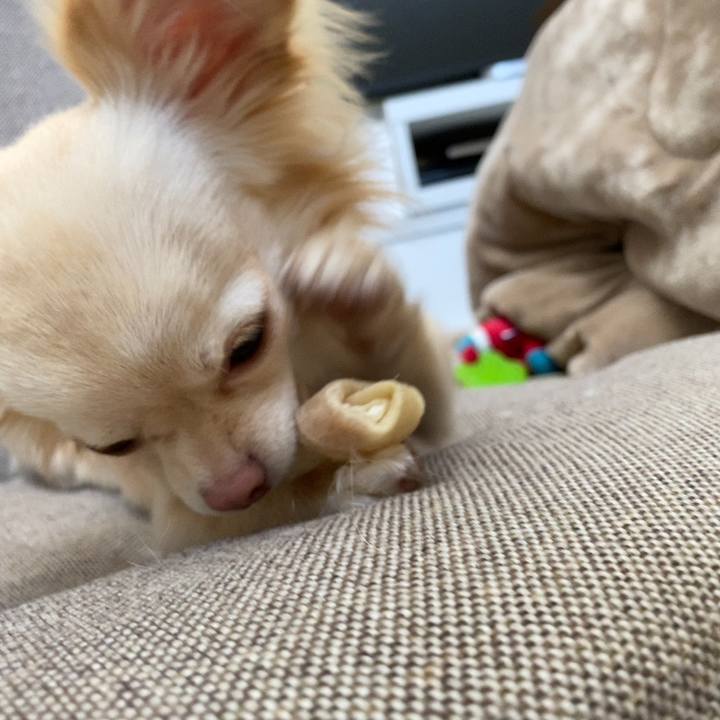 Aed05dbe 87c2 46c8 8c93 33bbcb6a1eb9 1617781178626