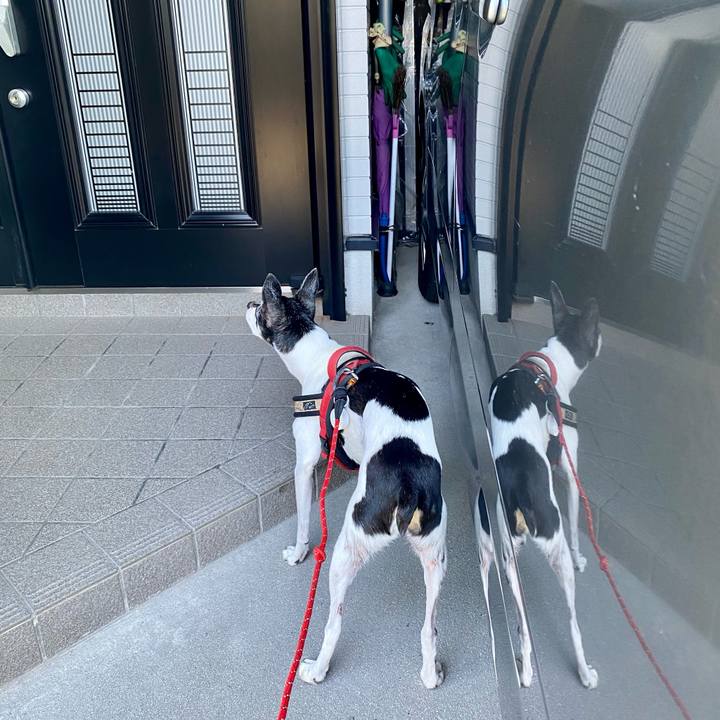 Aed08a6b dc58 4640 b27b bf9b0ffcaa8a 1632525782245