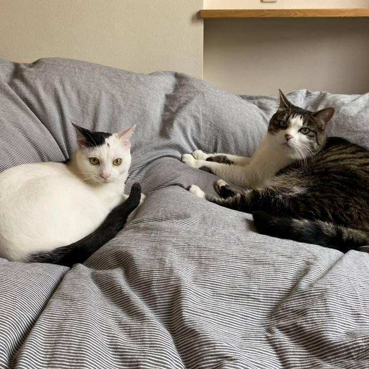 Aed0d292 8a8c 4023 b08b 3f16411f168d 1685159590456