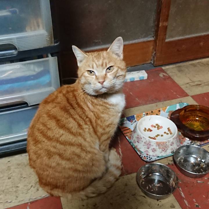 Aed0d2d2 614b 494b 8191 3fc05267b24e 1582880246779