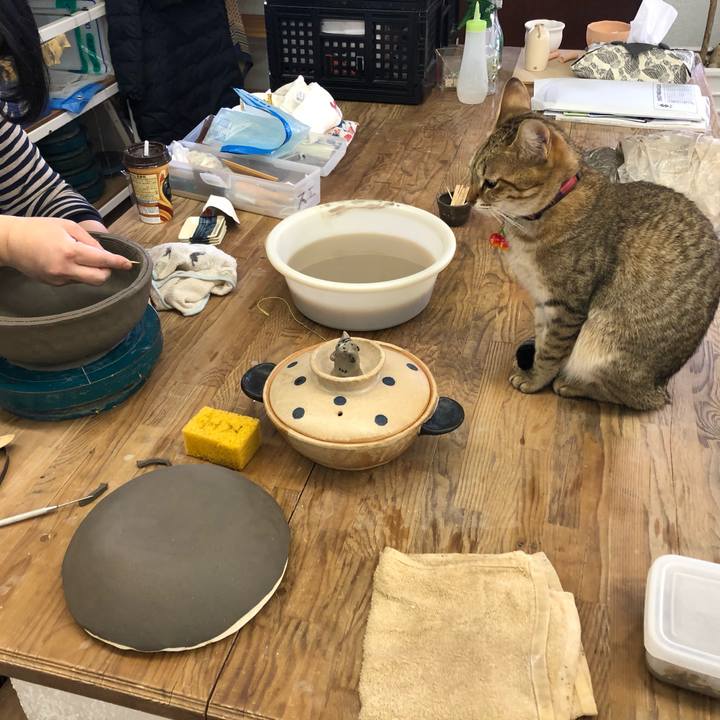 Aed10781 4042 4637 8377 ae949dfb1b04 1613025652756