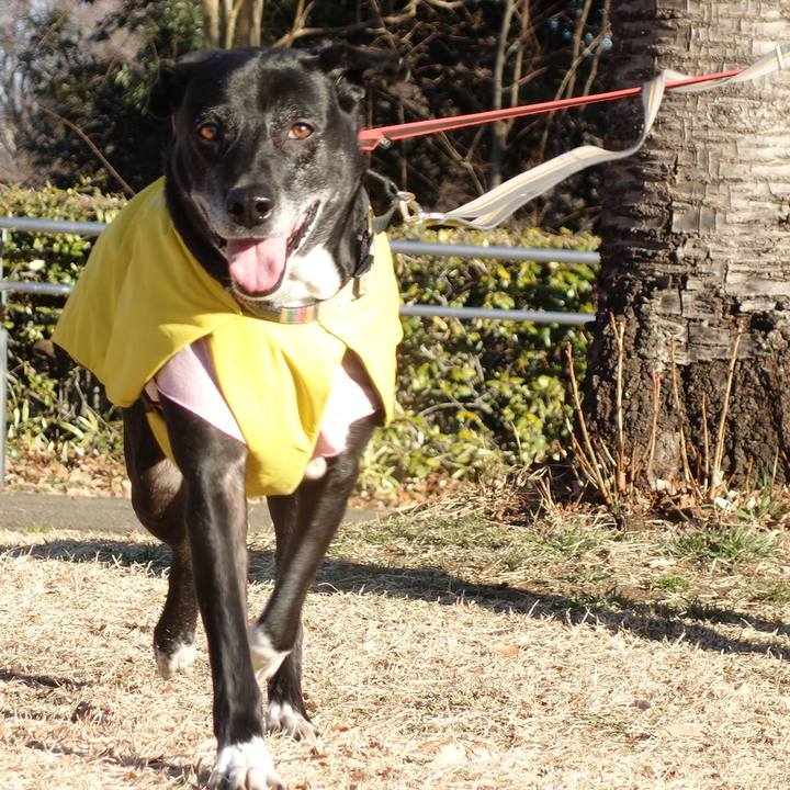 Aed12e53 7d23 422f ba2c 0f9aa8b86d51 1738973999674