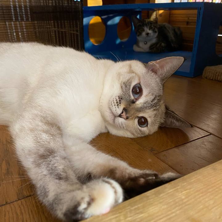 Aed1332a c17d 45ef a64c eb550fc43079 1692164453752