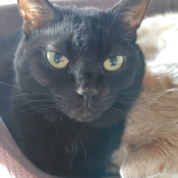 Aed14dc4 648b 4681 8670 beee727e58c8 1767912942138