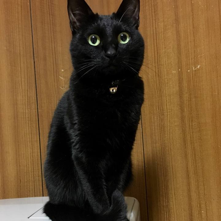 Aed17ea7 76ae 4ec1 92de 4bb9e643a3b4 1519304105973