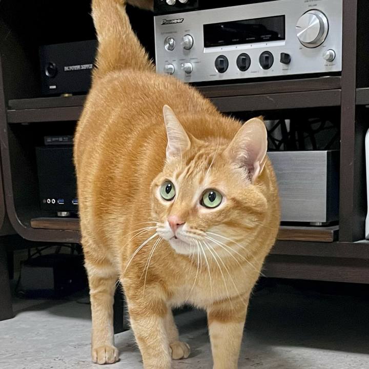 Aed19498 c5f1 4bfc 8511 2618f7e24413 1676931164986