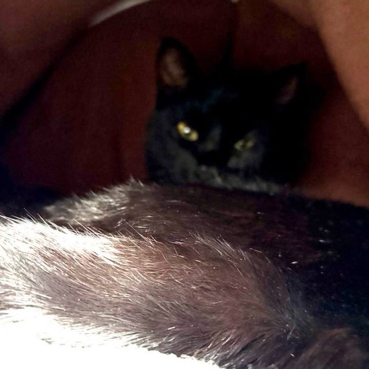 Aed1be23 3975 4e5d 8ceb 15934f706b1b 1760488908623