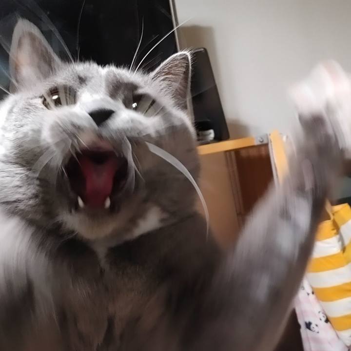 Aed1be69 6171 4981 91ca c367ab124d5e 1641681156120