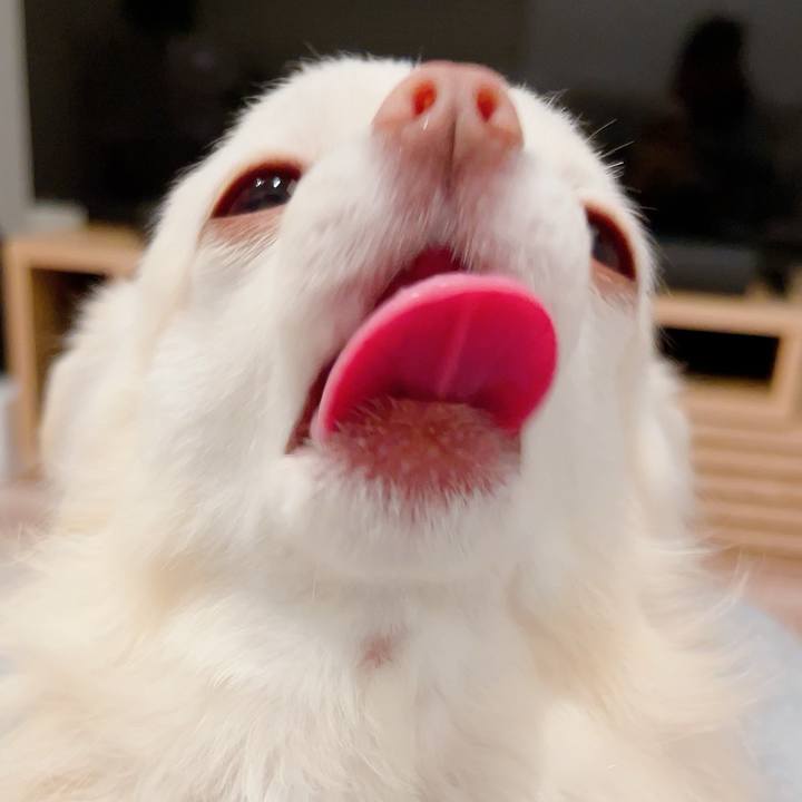 Aed1c418 1186 49fc 934a 606770490241 1706415687124