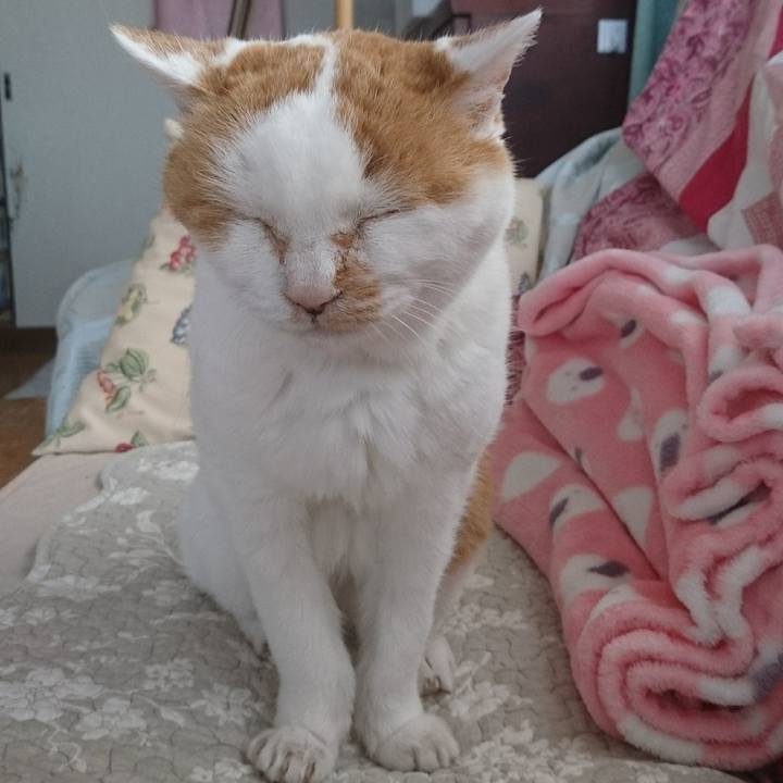 Aed1c8b8 04fe 4390 9115 493cb0445acc 1652861954892