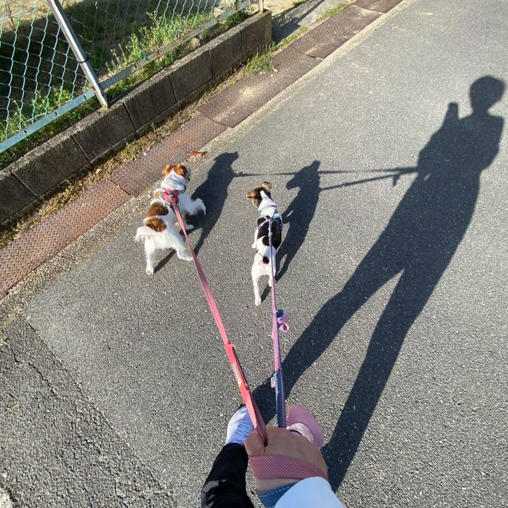 Aed1fbe7 183c 46a9 abd4 a146559e0d13 1745235014227