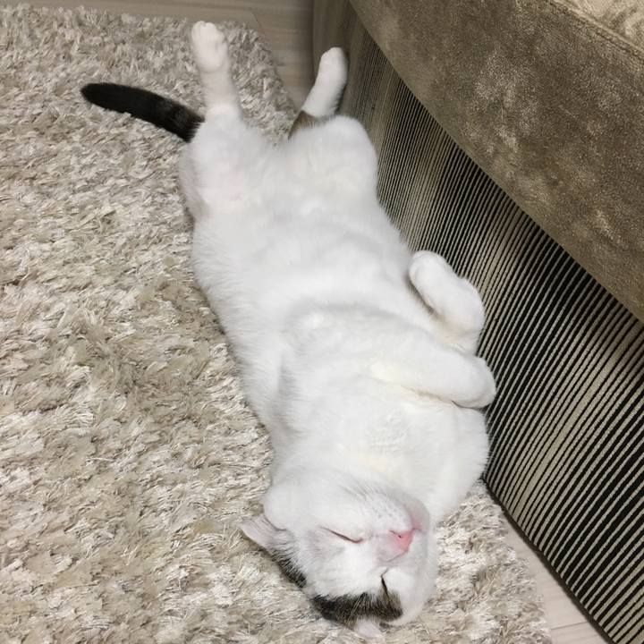 Aed2097f e6d9 4598 8084 b1a7435a7ff7 1528029115117