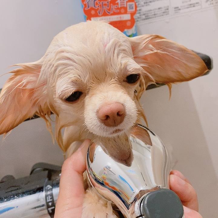 Aed276eb 66b5 4e1e 8fcf c0692e9e28ba 1619599221484