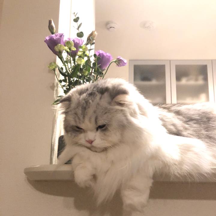 Aed2d32d c9f0 41f2 9ca8 28f983e16f5b 1668514319640