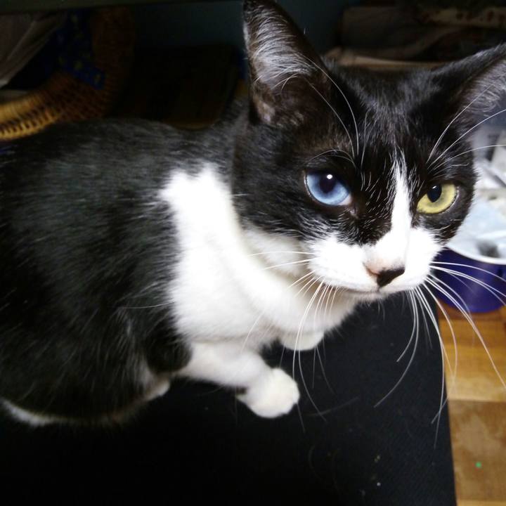 Aed2da5f febb 4e08 bb2c a99d9d5476d7 1513596778644