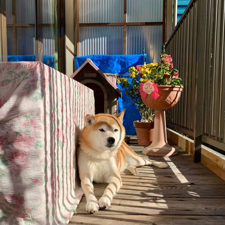 Aed31dd4 61e9 4e13 b7c8 4d7f3739fb73 1669975951060