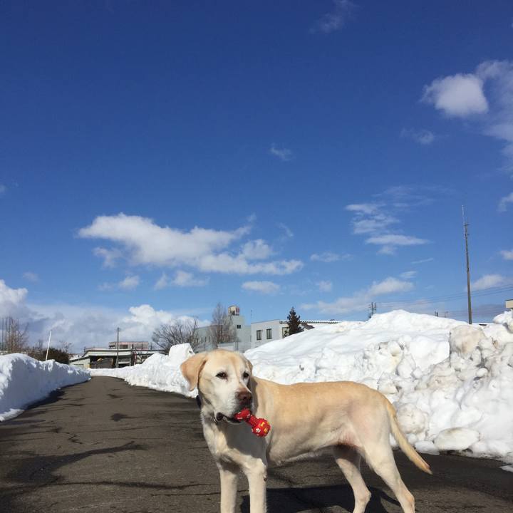 Aed32238 00f8 417f b74e a1330e416f7a 1517721437760