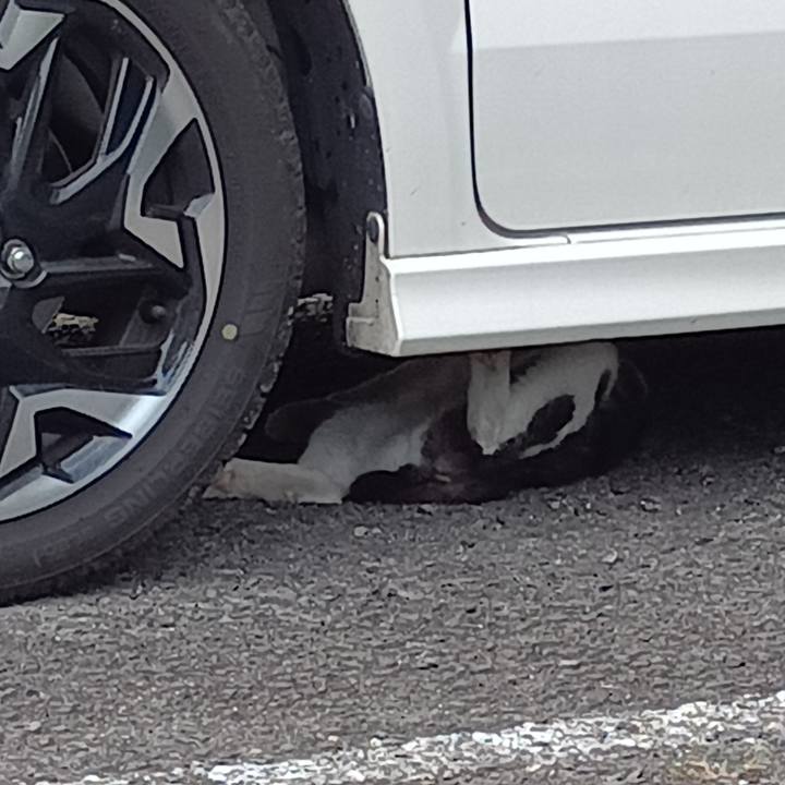 Aed3286f 2d14 4812 82cc a42886e11115 1755687977826