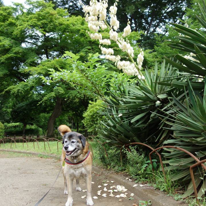 Aed3513e 6893 470b 888b 1e0134644a55 1526696519324