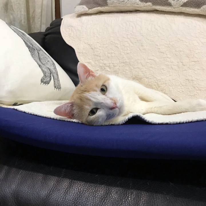 Aed3863e d1ed 4db4 b924 9fafa65df26c 1579611168702