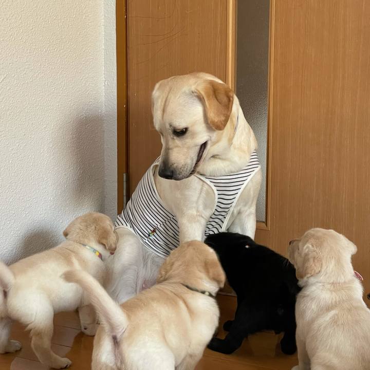 Aed38c34 32ab 4453 8286 951590e990ec 1628227905036