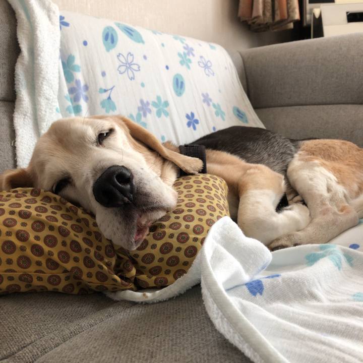 Aed3a74c 6611 4aa6 8b33 212c841529be 1621117312586