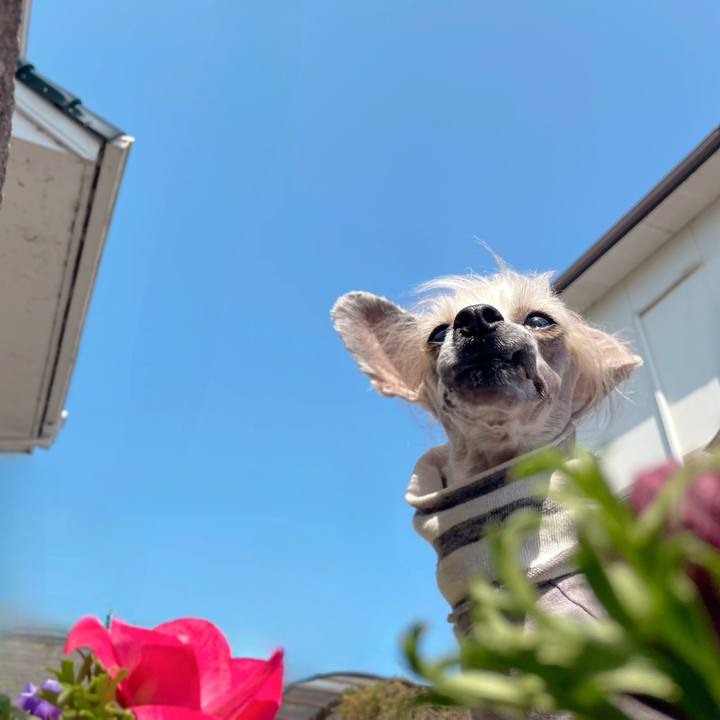 Aed3e232 7510 4640 8a5c 5fa512243259 1774094448824