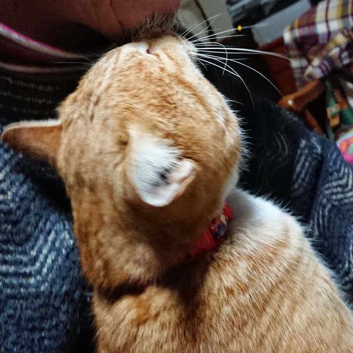 Aed3ff2f cb73 41be b022 1f9238aa6432 1577476811590