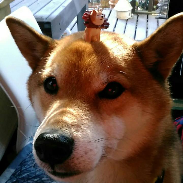 Aed40519 a4cf 4228 8aea 424a270bdc1b 1547960137267