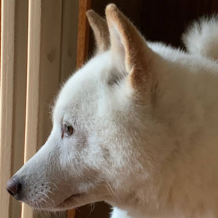 Aed449db 15a9 4bc5 b88f a180d817a5cd 1593207054960