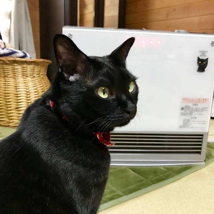 Aed46c0f 8708 4b8a 8758 b7d28e6259f9 1523943607850