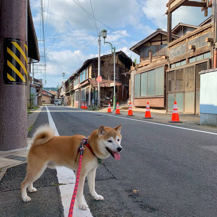 Aed46fab d492 434d bd89 1806392fc3b5 1690099035184