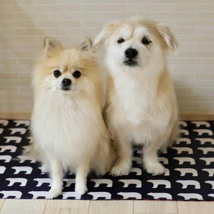 Aed473ba 6f18 4235 b09e aae8df9d9d57 1769462718863