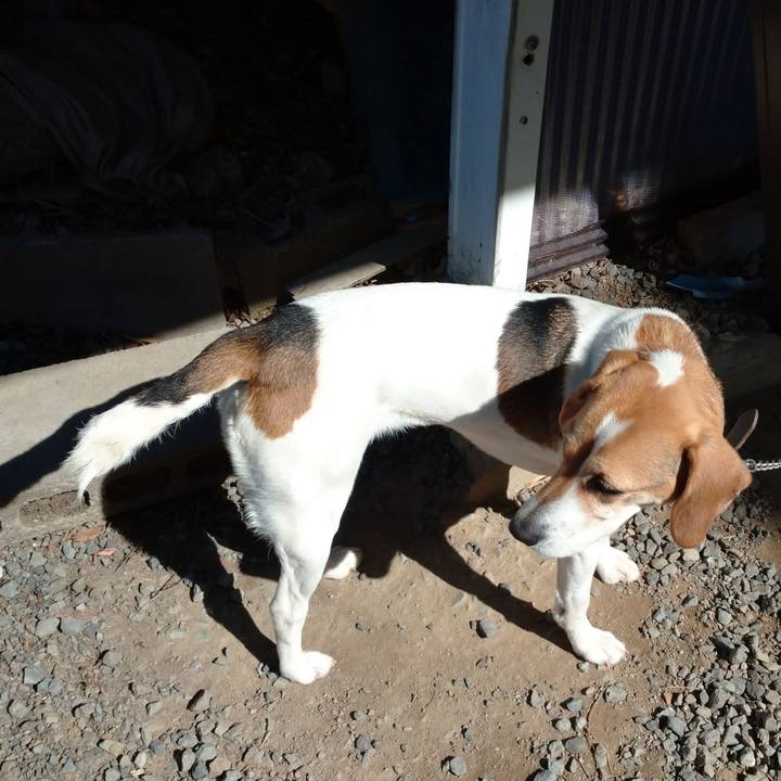 Aed48bd6 c734 4b98 afd2 7a44fdcc7f93 1614424391671