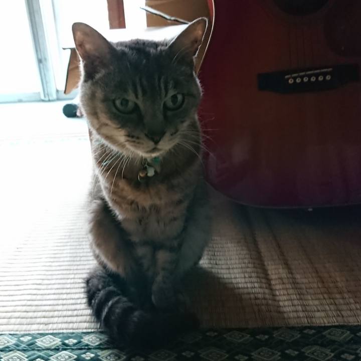 Aed4a2bb b9e6 4fb1 bd24 b7552b014dce 1567472597328