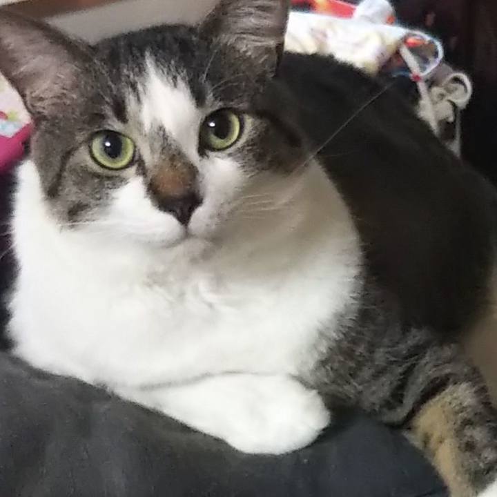 Aed4a38a 9efd 4f1c b360 37555973f710 1603589976804